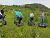 Offraod Segway Tour through the wineyards of Jois